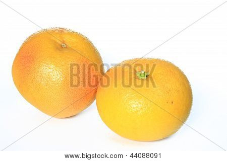 Pompelmo