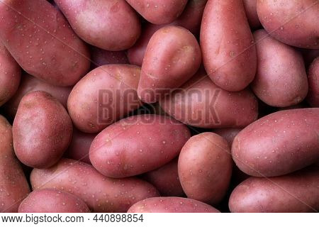Fresh small raw Roseval potatoes close up full frame 