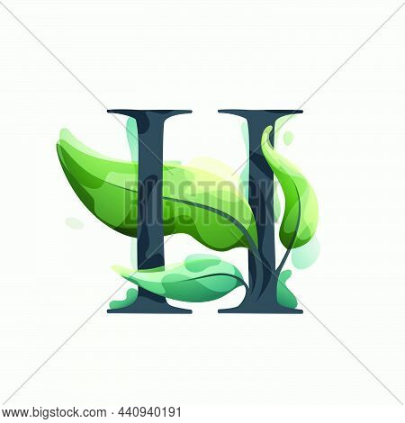 H Letter Logo With Green Leaves In Clear Vector Watercolor Style. Serif Sans Font For Luxury Emblem,