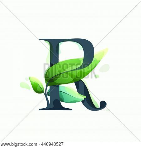 R Letter Logo With Green Leaves In Clear Vector Watercolor Style. Serif Sans Font For Luxury Emblem,