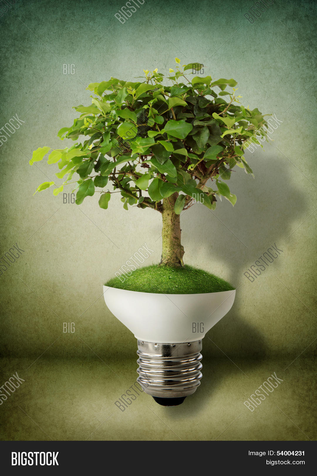 Green Tree Growing Out Image & Photo (Free Trial) Bigstock