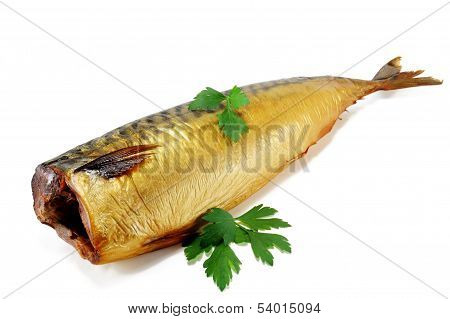Bloater