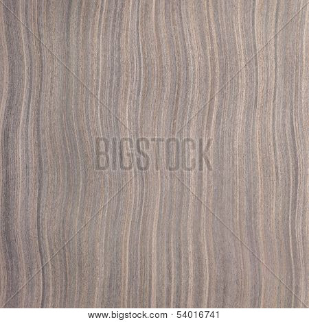 Ebony Wood Texture, Tree Background