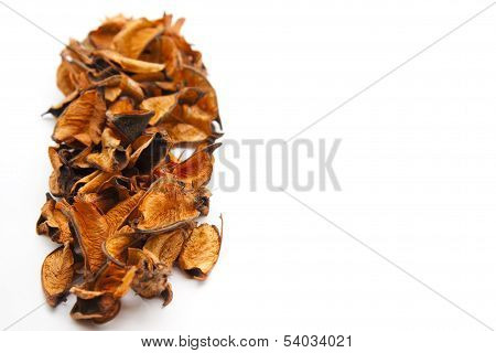 Potpourri