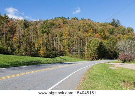 Drive Into Atumn Forests