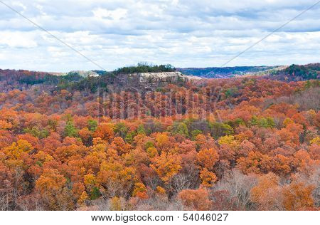 Mountain Forest In Late Autumn
