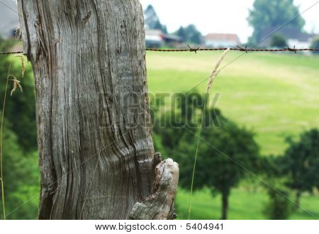 Fence