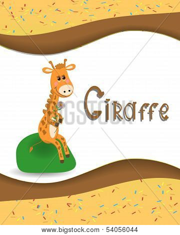 Pictures from the giraffe for bride-kid