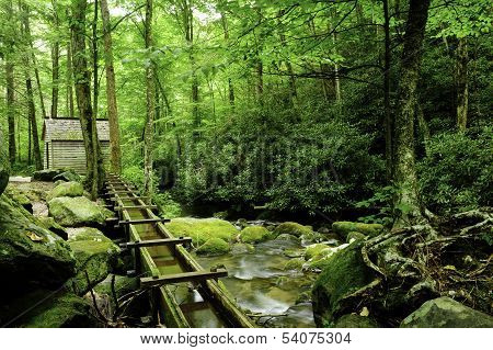 Flume At Smoky Mountain Nationa Park
