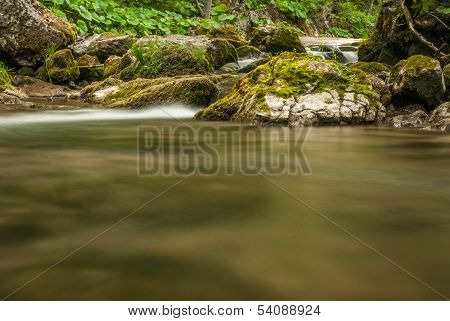 Creek, Rocks And Vegetation