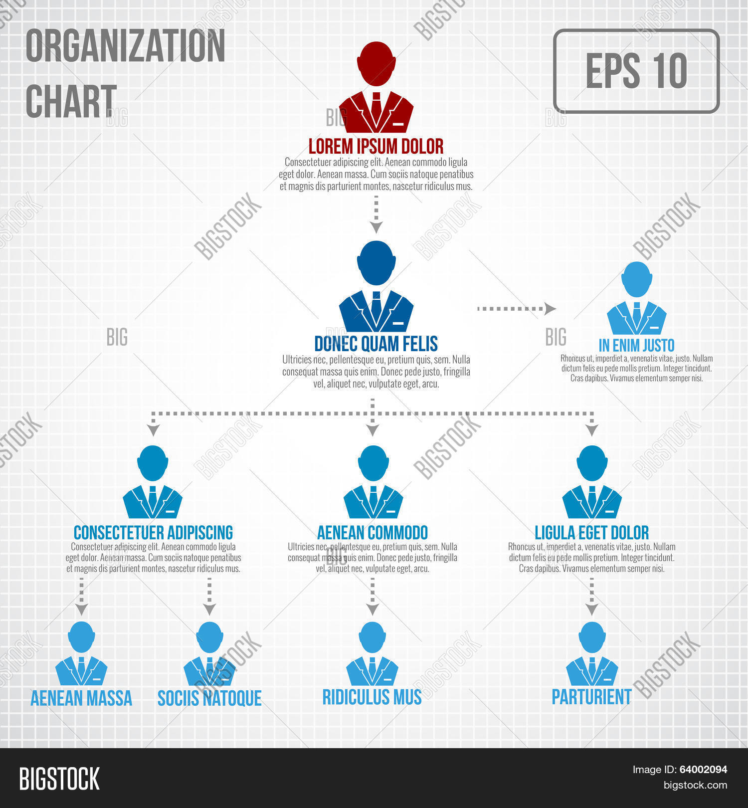 Organizational Chart Vector & Photo (Free Trial) | Bigstock