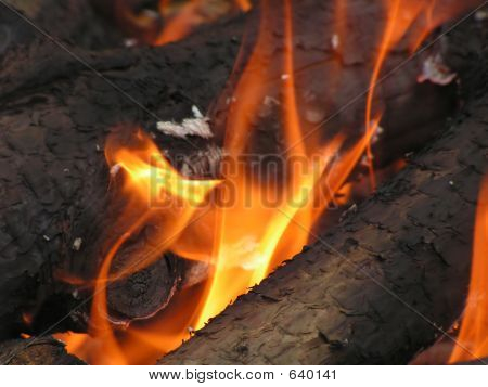 Logger på brand