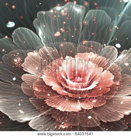 Pink And Gray Abstract  Flower
