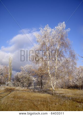 Den första snön
