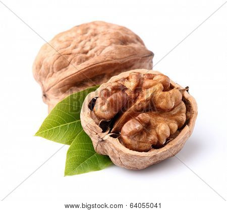 Walnuts with leaves