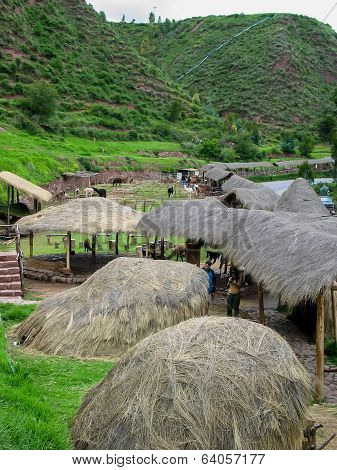 Awana Kancha Llama Farm In Peru