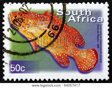 Postage Stamp South Africa 2000 Coral Rockcod, Marine Fish