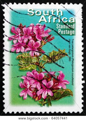 Postage Stamp South Africa 2003 Tree Pelargonium, Flowering Plan