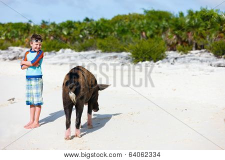 Little boy with a swimming pig of Exuma on a beach in Bahamas