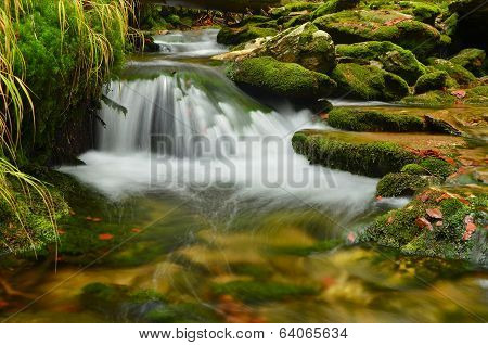 rapids in moss
