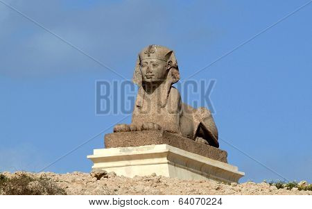 Solo Sphinx in Alexandria