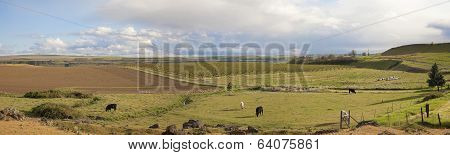 Farmland At Maryhill Washington Panorama