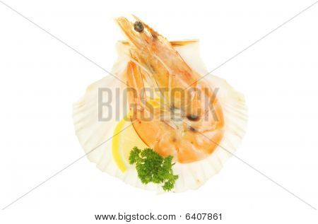 셸에서 Crevette
