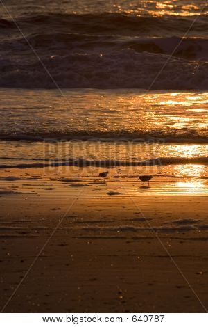 Desayuno en la playa II