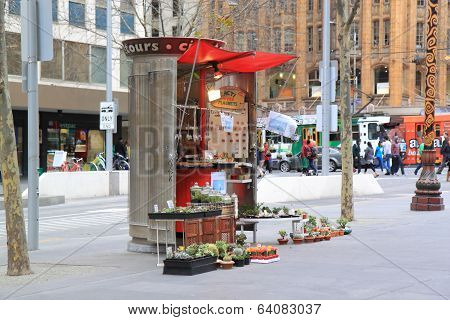 Cactus shop Melbourne
