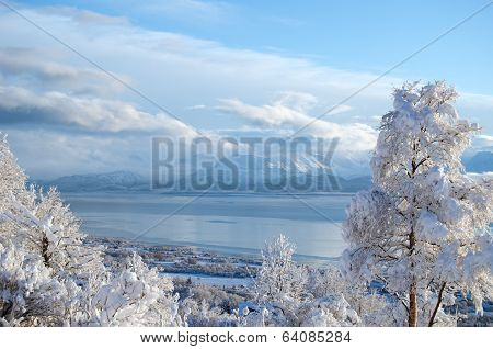 Bay In White