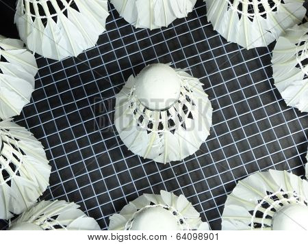 shuttlecocks on a badminton racket