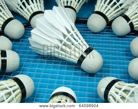shuttlecocks on a badminton racket