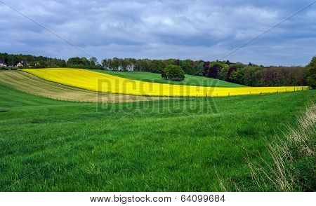 Colorful Field Landscape