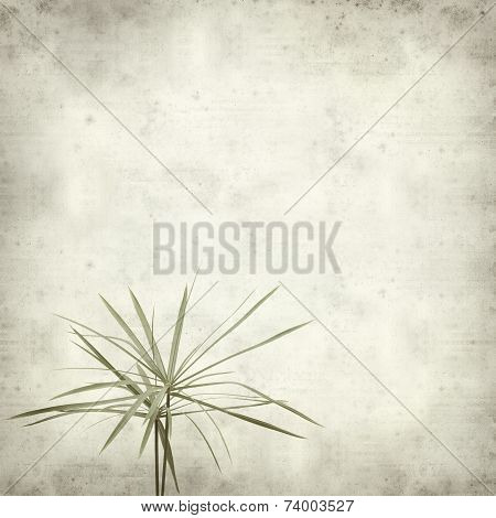Textured Old Paper Background