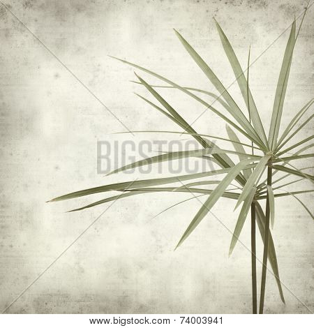 Textured Old Paper Background