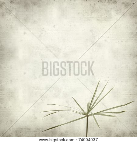 Textured Old Paper Background