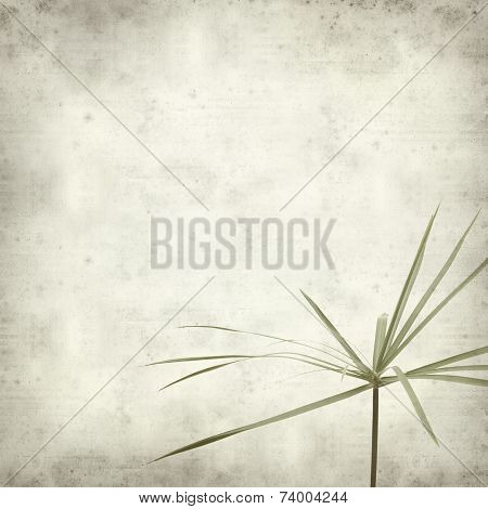 Textured Old Paper Background