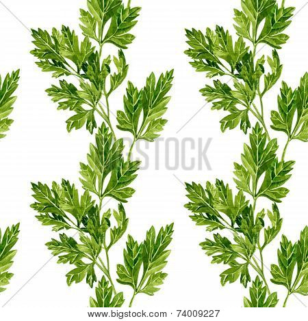 seamless pattern with leaves of parsley