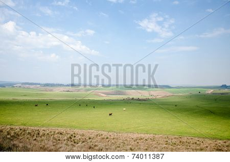 Big field