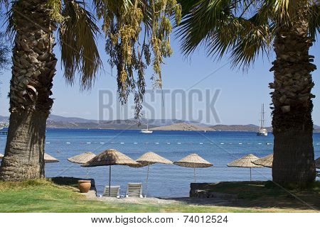 sea and beach
