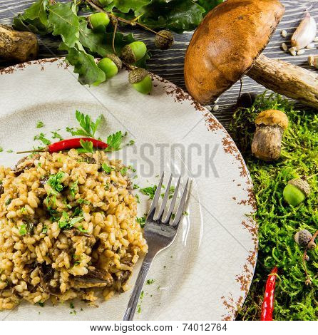 Italian Risotto With Mushrooms