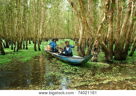 Tra Su Indigo Forest, Vietnam Ecotourism