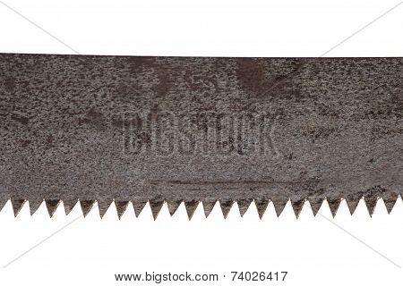 Photo of handsaw's teeth