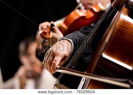 String Orchestra Performance