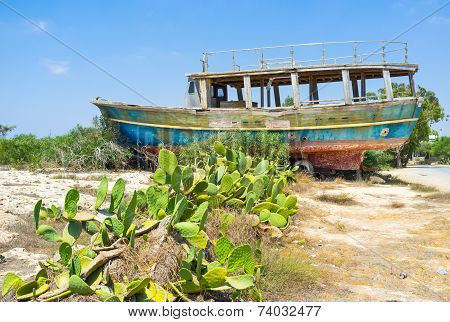 The Old Ship