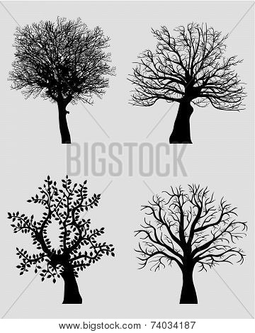 tree