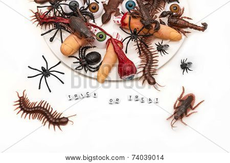 Trick Or Treat Candy Bugs Spilling Out Onto White Background