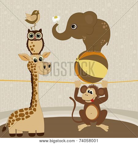 Cute Animals