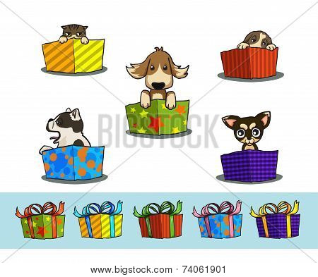 Gift box and pets