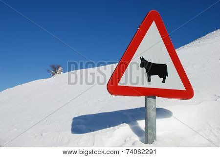 Road Sign